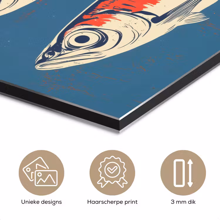 Vissen - Rood - Blauw aluminium wit klein -closeup_NL
