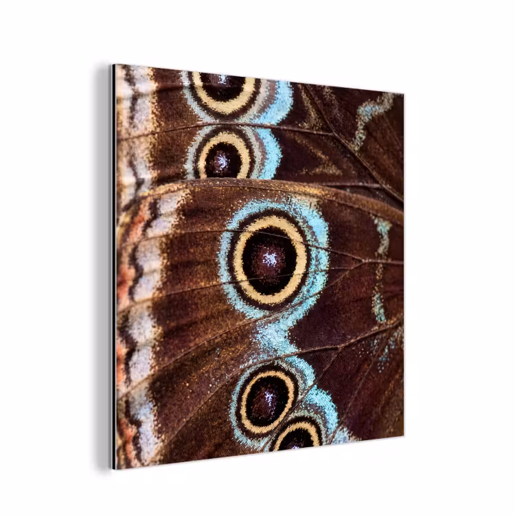 Vleugels - Vlinder - Blauw aluminium wit klein -3d