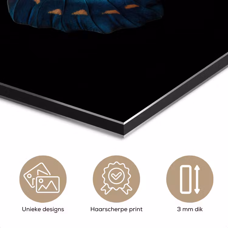 Vlinder - Blauw - Contrast aluminium wit klein -closeup_NL