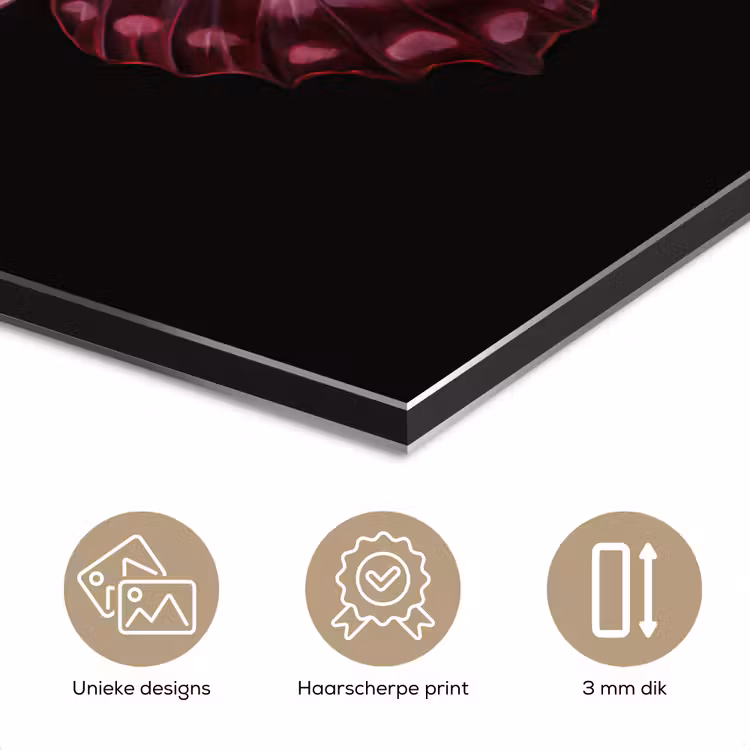 Vlinder - Fuchsia - Grafisch aluminium wit klein -closeup_NL