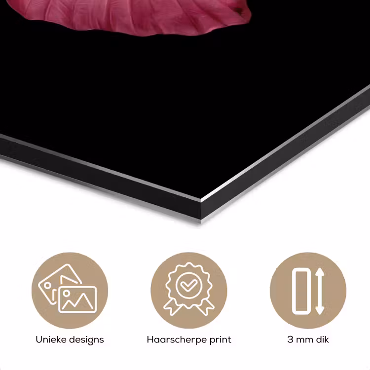 Vlinder - roze - Elegant aluminium wit klein -closeup_NL