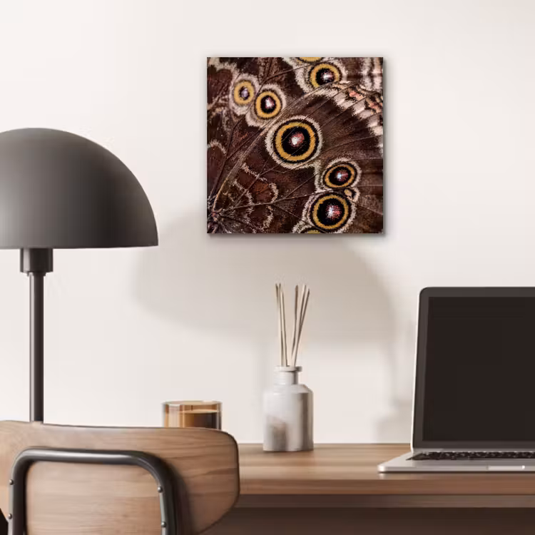 Vlinder - Vleugel - Abstract aluminium wit klein -sfeer5