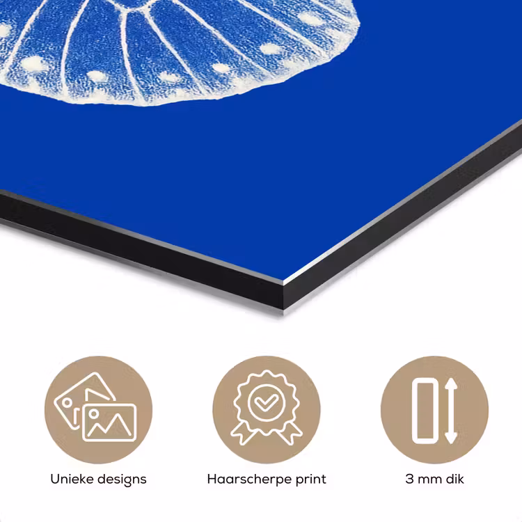 Vlinder - Wit - Getekend - Stippen aluminium wit klein -closeup_NL