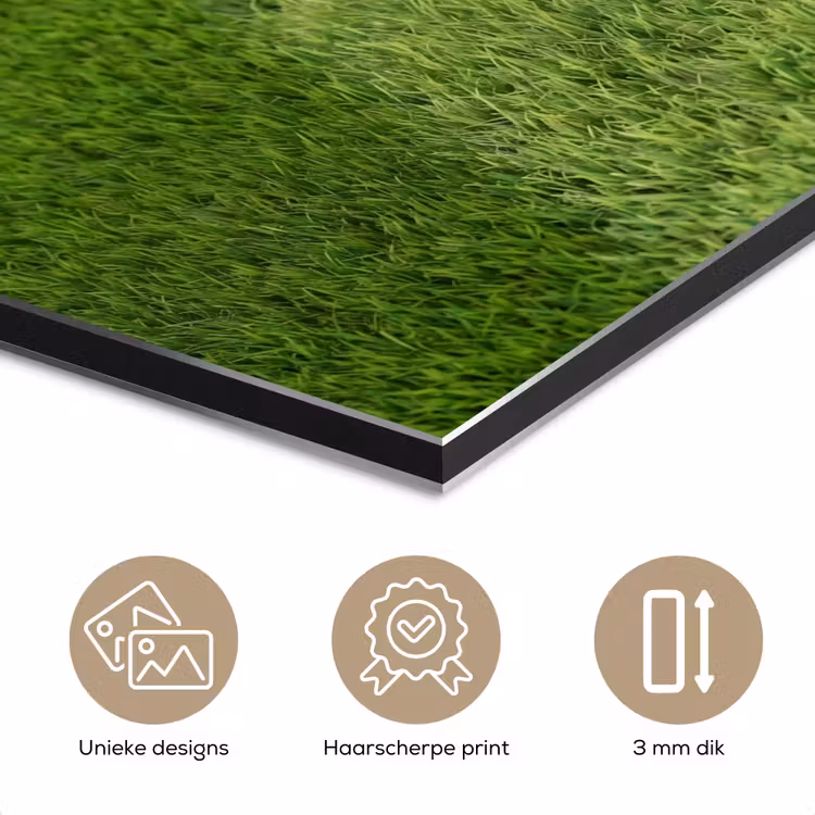 Voetbal - Grasveld - Sport - Groen aluminium wit klein -closeup_NL