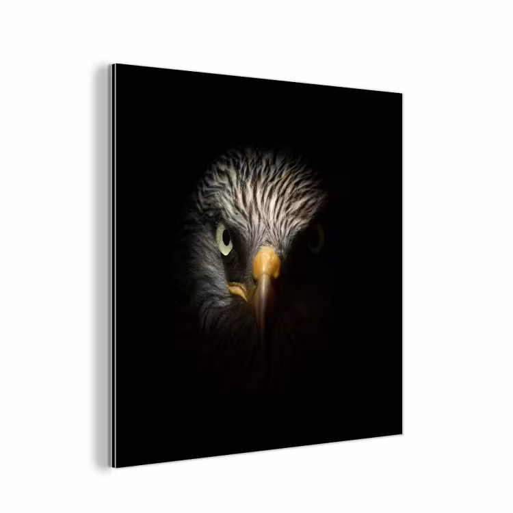 Vogel - Adelaar - Roofvogels - Oog - Snavel - Licht aluminium wit klein -3d