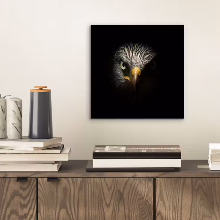 Vogel - Adelaar - Roofvogels - Oog - Snavel - Licht aluminium wit klein -sfeer1