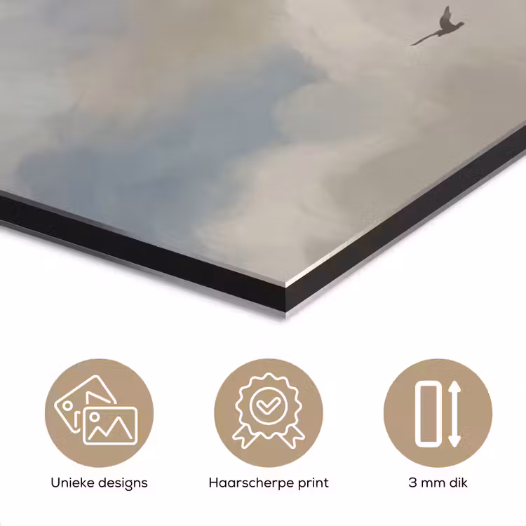 Vogel - Wolken - Natuur - Modern - Grijs aluminium wit klein -closeup_NL