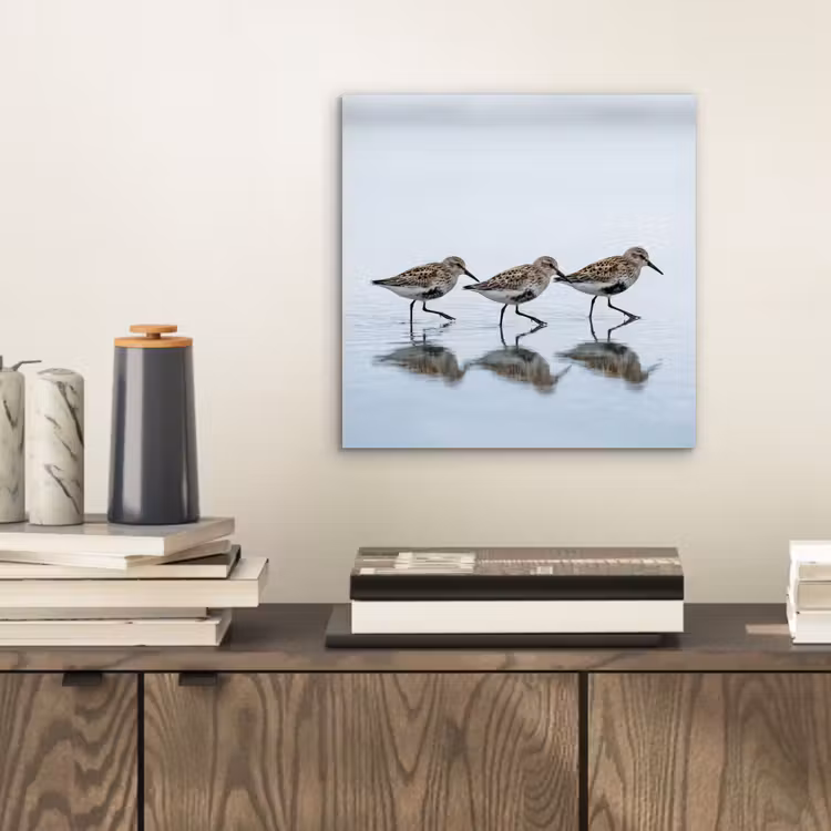 Vogels - Water - Grijs aluminium wit klein -sfeer1