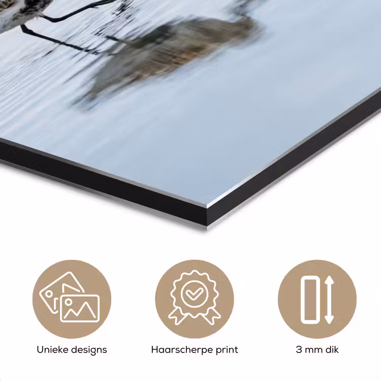 Vogels - Water - Grijs aluminium wit klein -closeup_NL