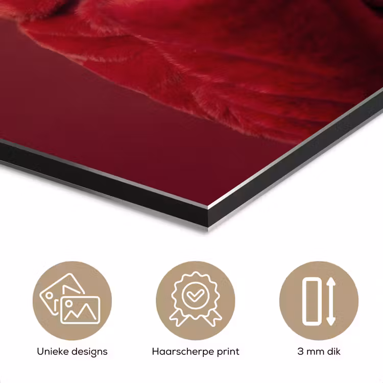 Vrouw - Bontjas - Mode - Klassiek - Rood aluminium wit klein -closeup_NL