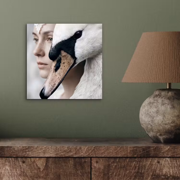 Vrouw - Zwaan - Wit aluminium wit klein -sfeer2