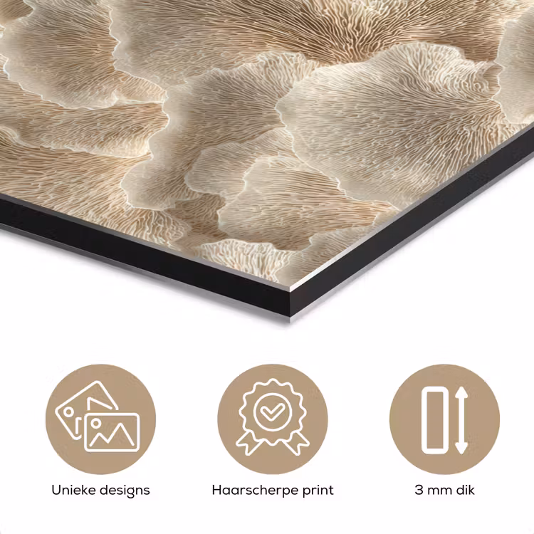 Waaierstructuren - Beige - Vezeltextuur aluminium wit klein 46 -closeup_NL