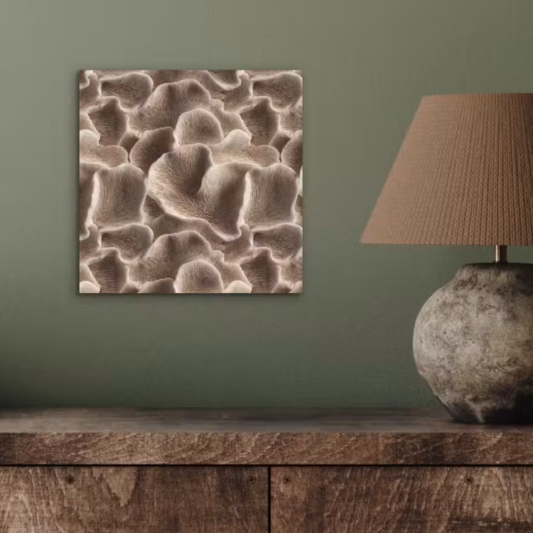 Waaiervorm - Beige - Vezel textuur aluminium wit klein 46 -sfeer2