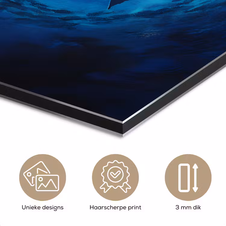 Walvis - Vissen - Donkerblauw aluminium wit klein -closeup_NL