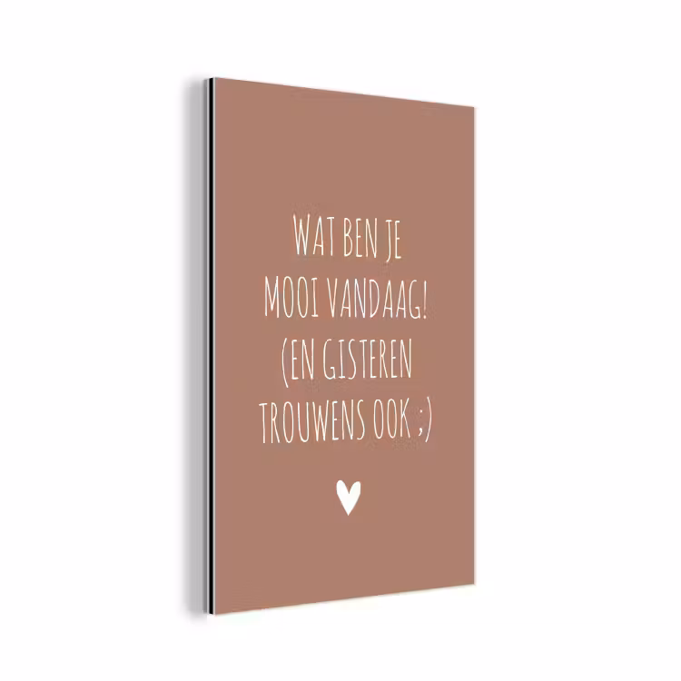 Wat ben je mooi vandaag - Quotes - Spreuken aluminium wit klein -3d
