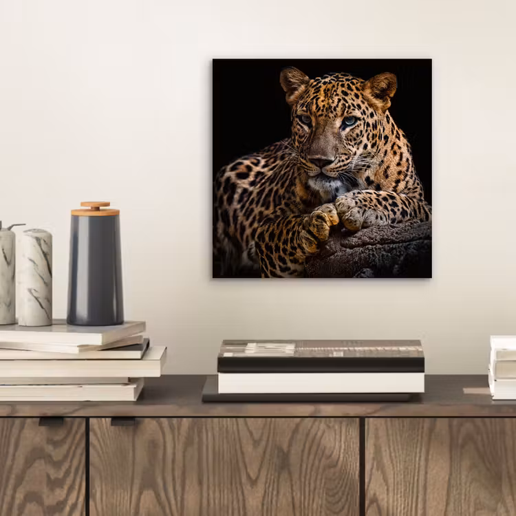 Wilde dieren - Panter - Portret - Zwart - Dieren aluminium wit klein -sfeer1