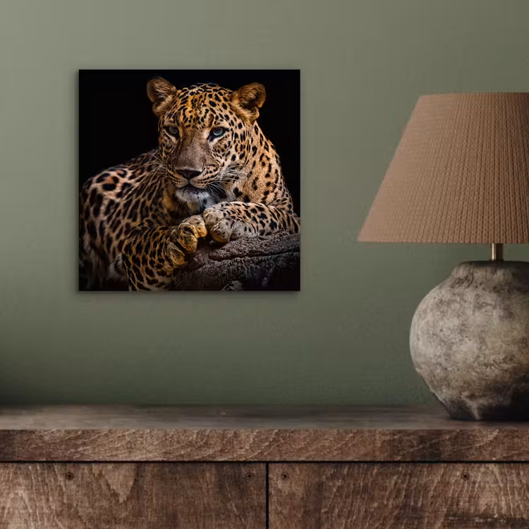 Wilde dieren - Panter - Portret - Zwart - Dieren aluminium wit klein -sfeer2