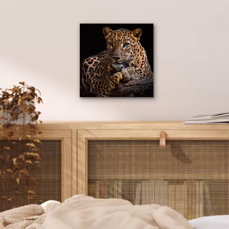 Wilde dieren - Panter - Portret - Zwart - Dieren aluminium wit klein -sfeer3