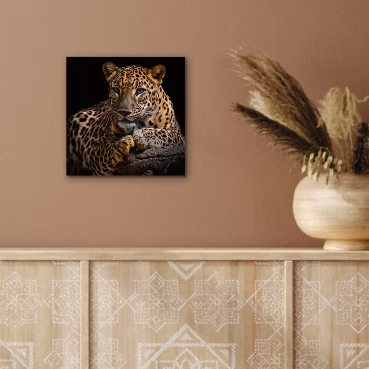 Wilde dieren - Panter - Portret - Zwart - Dieren aluminium wit klein -sfeer4