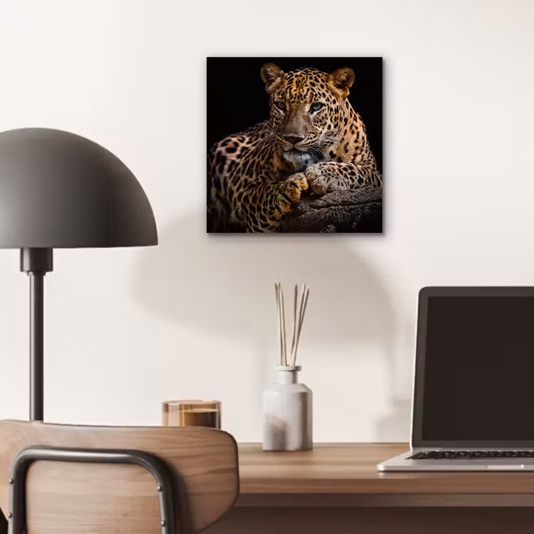 Wilde dieren - Panter - Portret - Zwart - Dieren aluminium wit klein -sfeer5