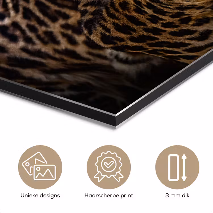 Wilde dieren - Panter - Portret - Zwart - Dieren aluminium wit klein -closeup_NL