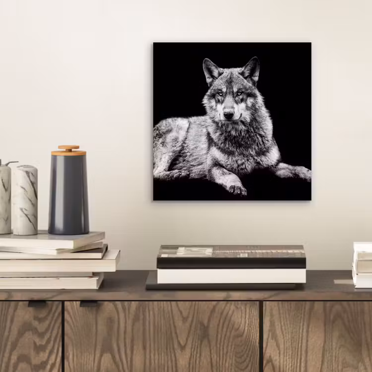 Wilde dieren - Wolf - Zwart - Wit aluminium wit klein -sfeer1