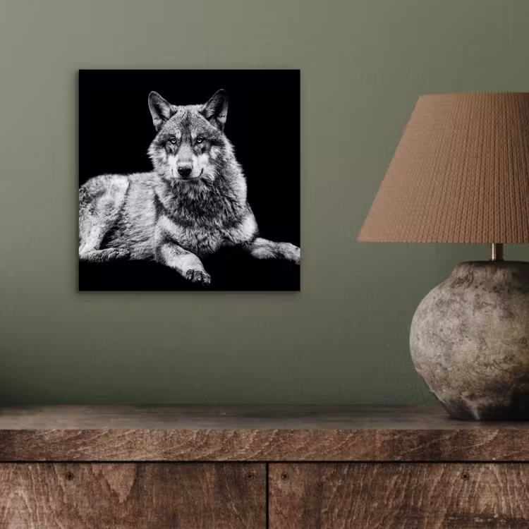 Wilde dieren - Wolf - Zwart - Wit aluminium wit klein -sfeer2