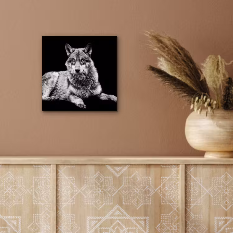 Wilde dieren - Wolf - Zwart - Wit aluminium wit klein -sfeer4