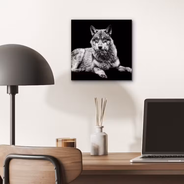 Wilde dieren - Wolf - Zwart - Wit aluminium wit klein -sfeer5