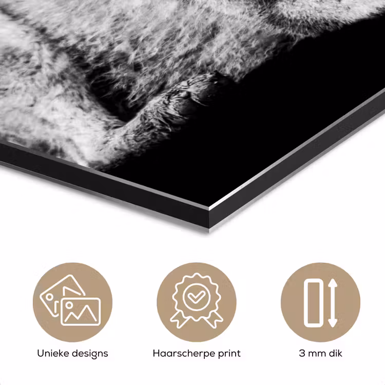Wilde dieren - Wolf - Zwart - Wit aluminium wit klein -closeup_NL