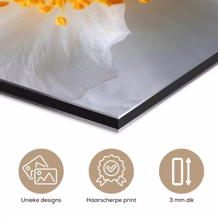 Wit - Bloem - Elegant aluminium wit klein -closeup_NL