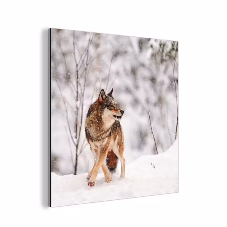 Wolf - Winter - Sneeuw - Natuur - Dieren aluminium wit klein -3d