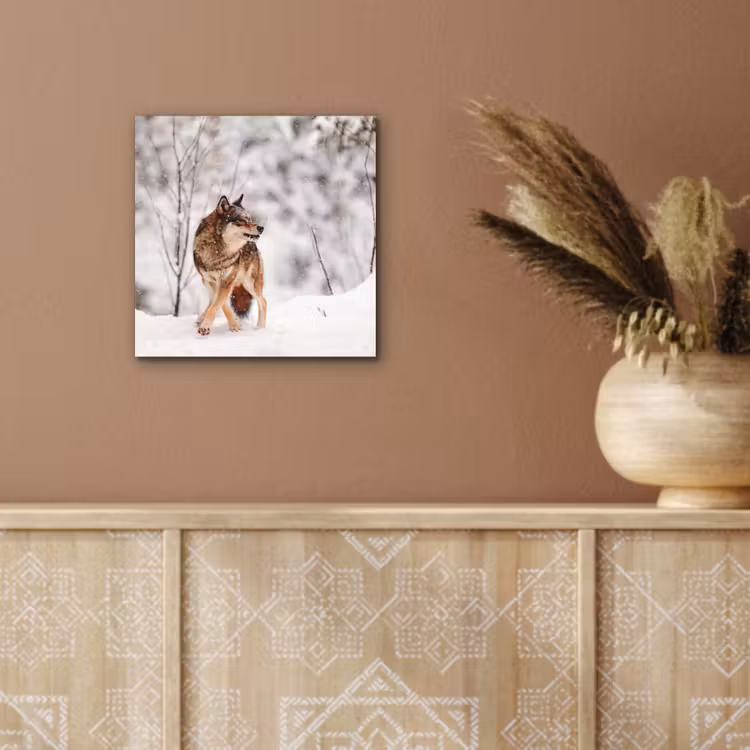 Wolf - Winter - Sneeuw - Natuur - Dieren aluminium wit klein -sfeer4