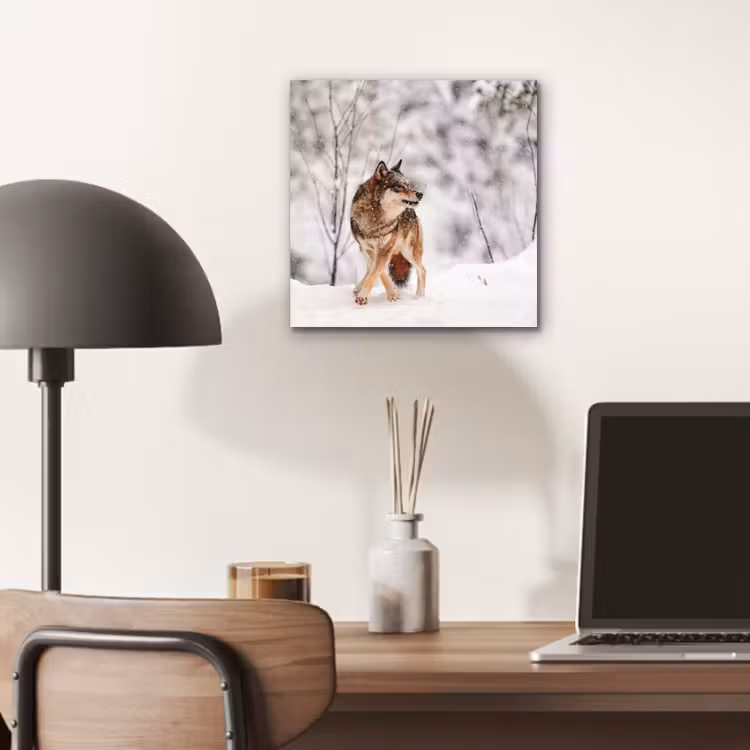 Wolf - Winter - Sneeuw - Natuur - Dieren aluminium wit klein -sfeer5