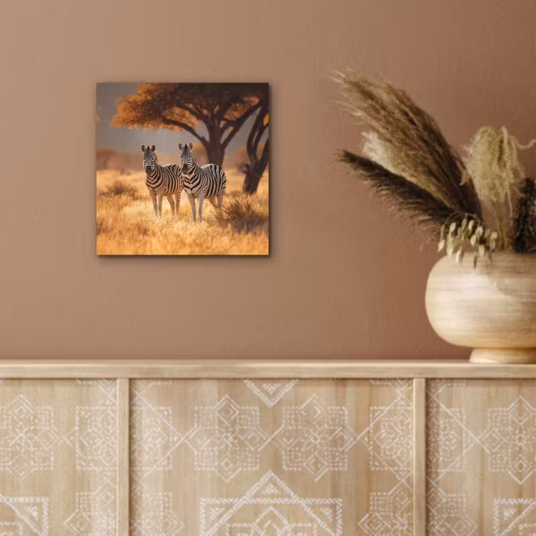 Zebra's - Savannelandschap - Gras aluminium wit klein -sfeer4
