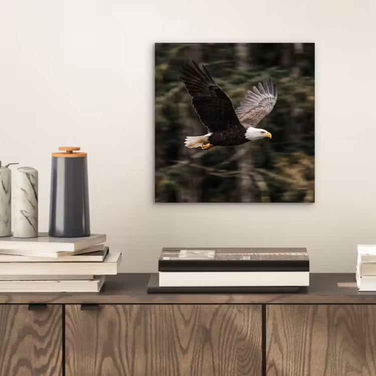 Zeearend - Vliegen - Bos - Natuur aluminium wit klein -sfeer1