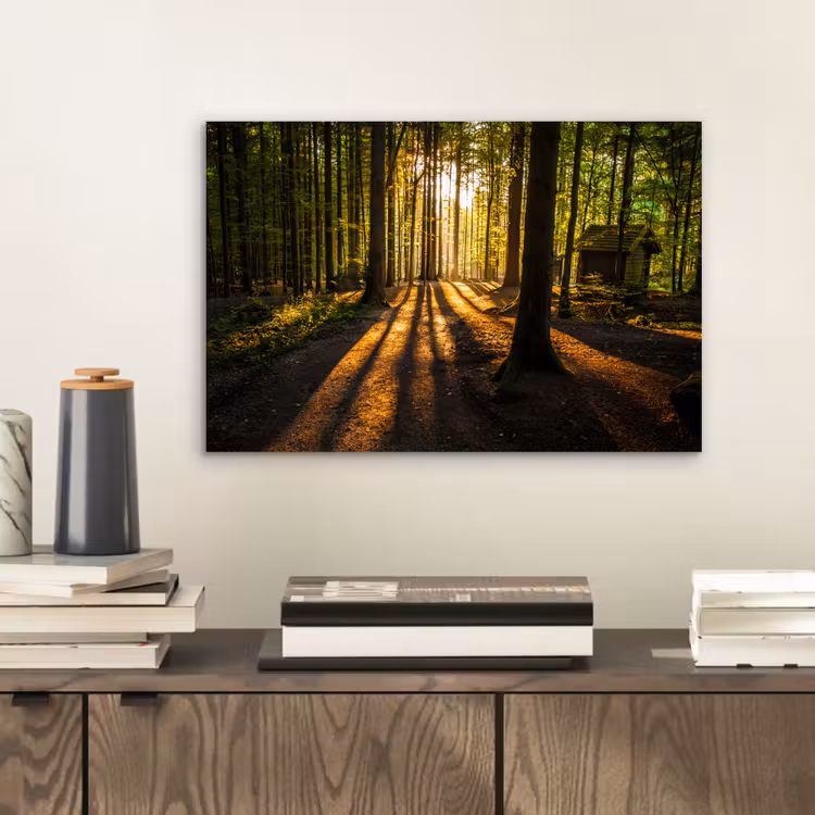 Zon - Bomen - Bos - Landschap - Natuur aluminium wit klein -sfeer1