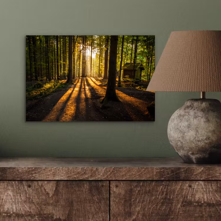 Zon - Bomen - Bos - Landschap - Natuur aluminium wit klein -sfeer2