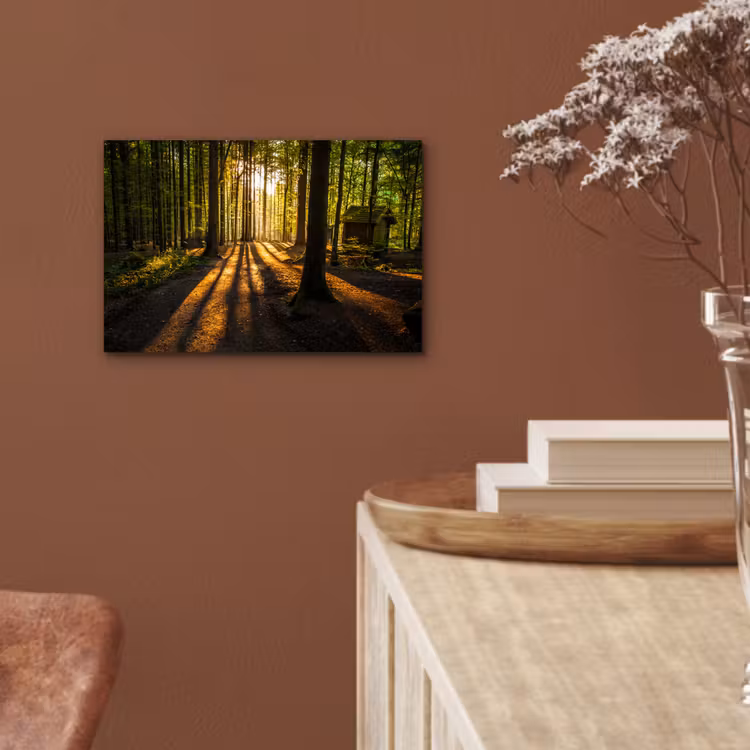 Zon - Bomen - Bos - Landschap - Natuur aluminium wit klein -sfeer4