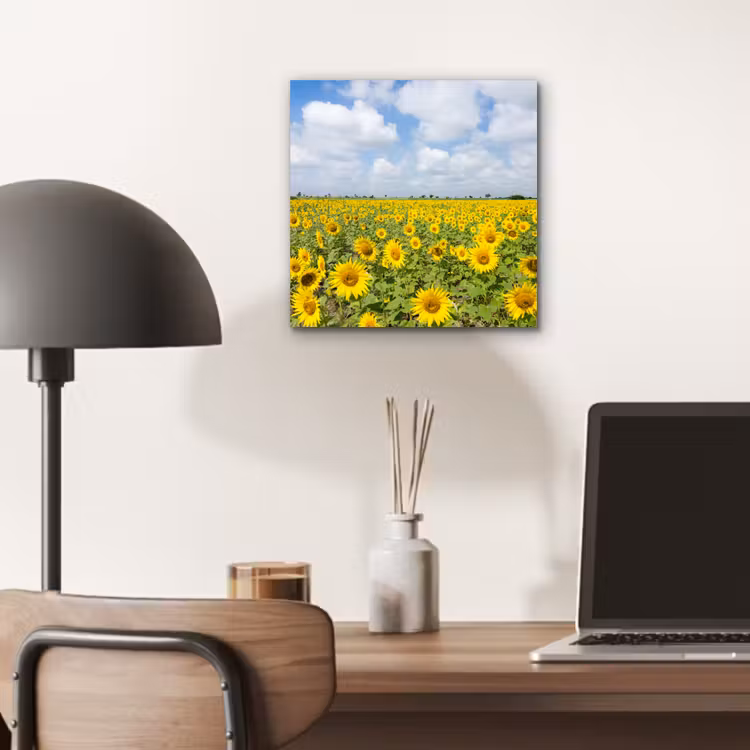 Zonnebloemen - Bloemen - Wolken - Natuur - Geel - Landschap aluminium wit klein -sfeer5