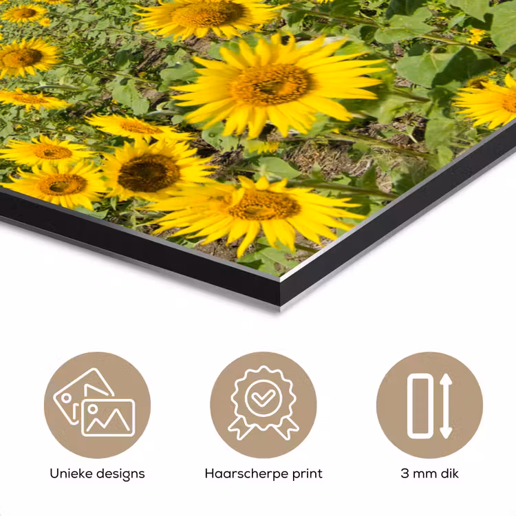 Zonnebloemen - Bloemen - Wolken - Natuur - Geel - Landschap aluminium wit klein -closeup_NL