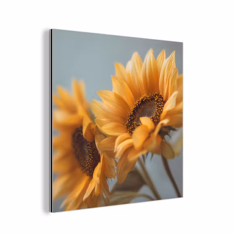 Zonnebloemen - Geel - Wazig aluminium wit klein -3d