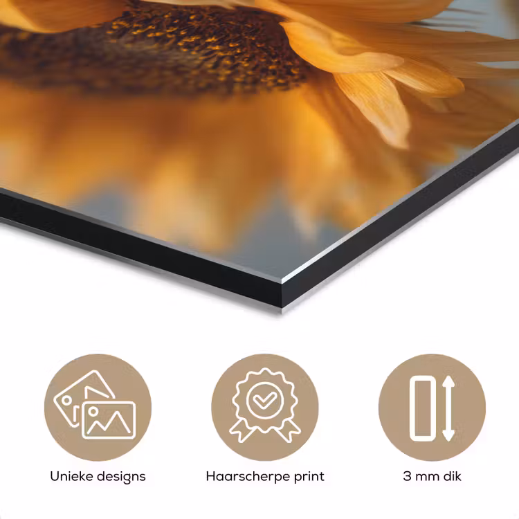 Zonnebloemen - Geel - Wazig aluminium wit klein -closeup_NL