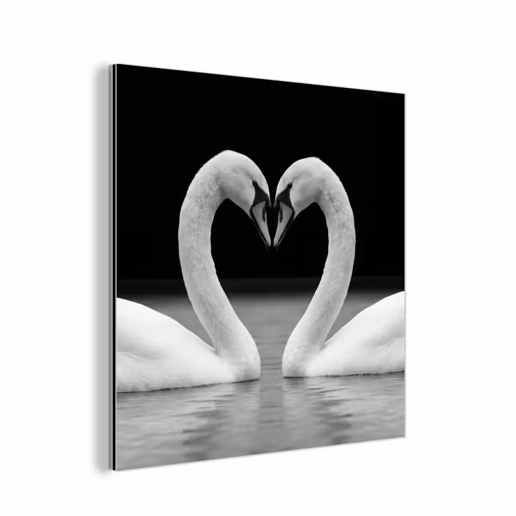 Zwanen - Hart - Zwart - Wit aluminium wit klein -3d