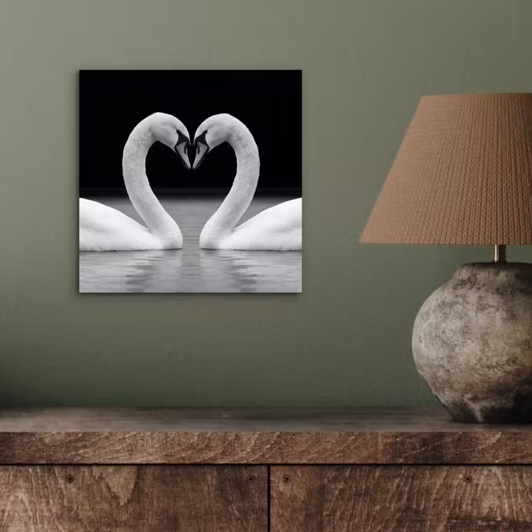 Zwanen - Hart - Zwart - Wit aluminium wit klein -sfeer2