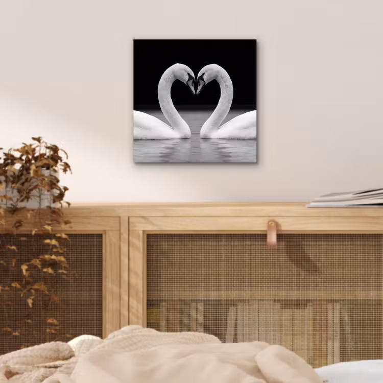 Zwanen - Hart - Zwart - Wit aluminium wit klein -sfeer3