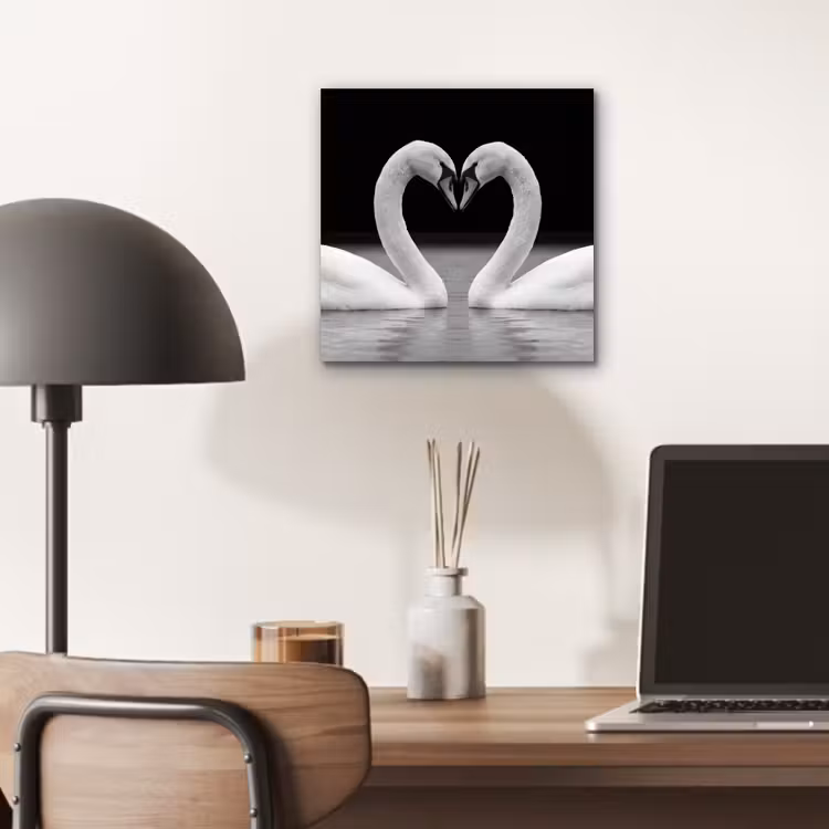 Zwanen - Hart - Zwart - Wit aluminium wit klein -sfeer5