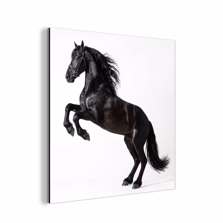 Zwart - Paard - Portret aluminium wit klein -3d