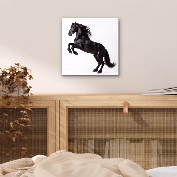 Zwart - Paard - Portret aluminium wit klein -sfeer3