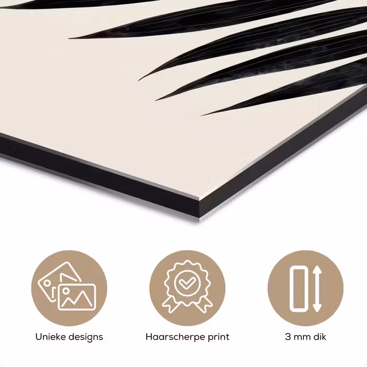 Zwart palmblad - Gouden cirkel - Beige achtergrond aluminium wit klein -closeup_NL